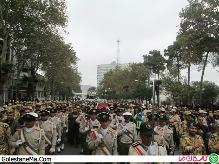 Picture-216