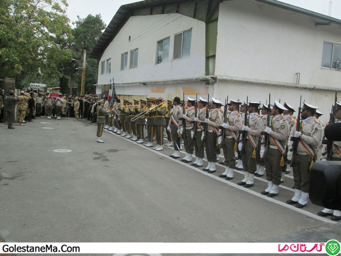 Picture-237