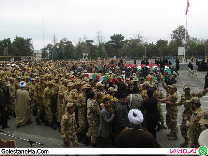 Picture-254