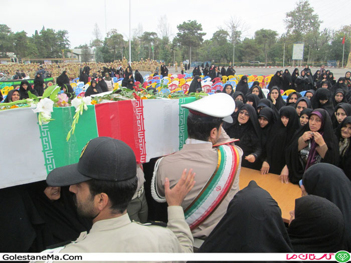 Picture-288