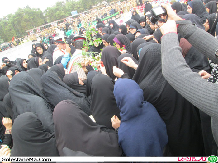 Picture-290