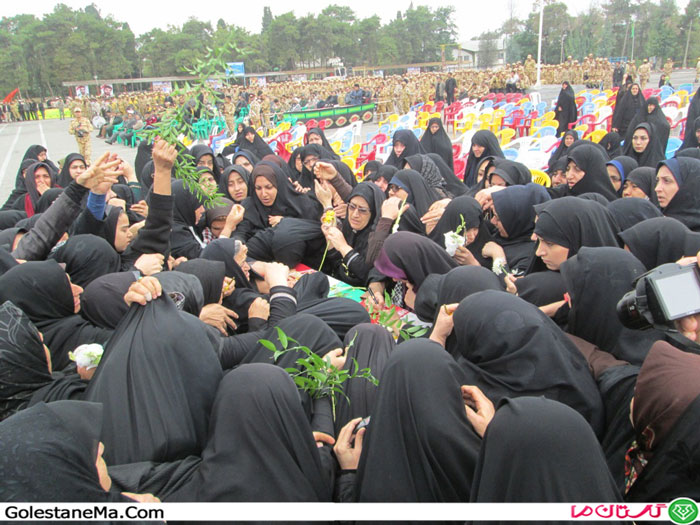 Picture-291