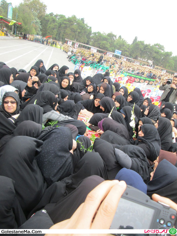 Picture-293